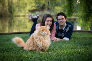 Couple lying on the grass with their cat | Anne Lord Photography